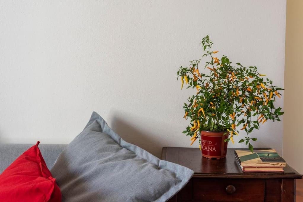 Renovated 19Th Century Apartment Firenze Esterno foto